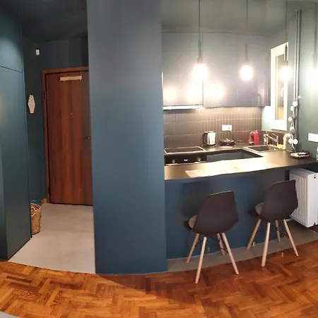 Modern Kallimarmaro Near Syntagma Metro Station Apartment