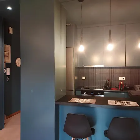 Modern Kallimarmaro Near Syntagma Metro Station Apartment Athens